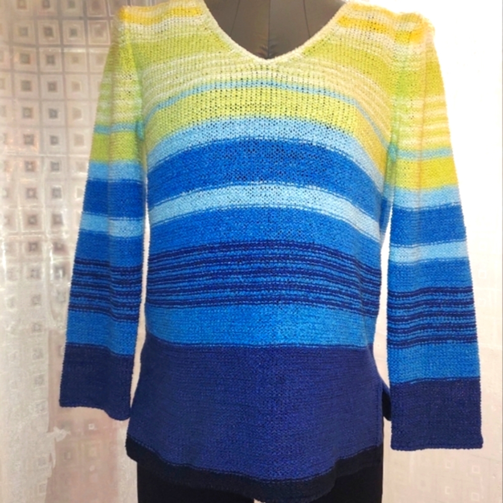 Evan Picone Multicolor Vintage V-Neck Sweater